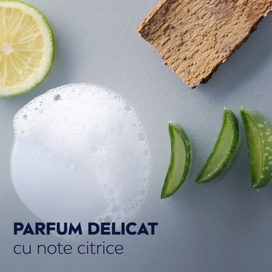 Gel de duș bărbați Protect & Care 3în1, pentru corp, față și păr, 0.25l