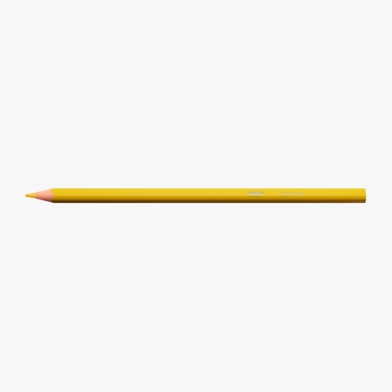 Creioane colorate Intensity 12 buc
