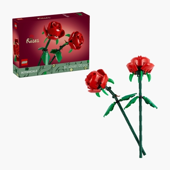 Trandafiri, 40460 Botanicals, 120 piese, +8 ani