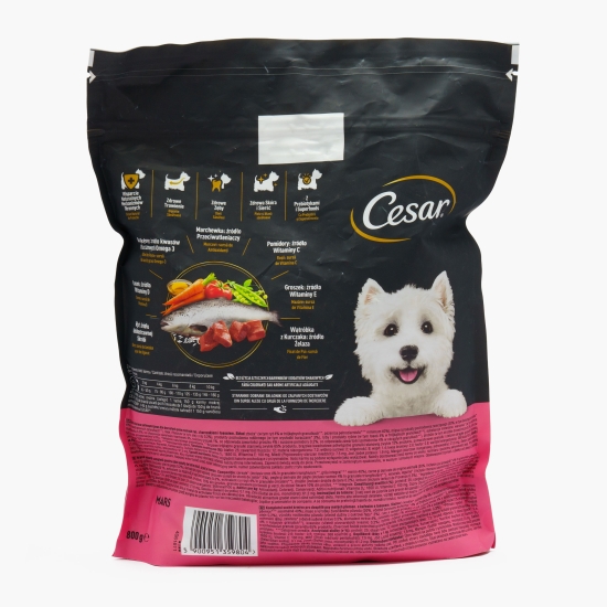 Hrană uscată pentru câini adulți de talie mică 800g, cu pui și somon