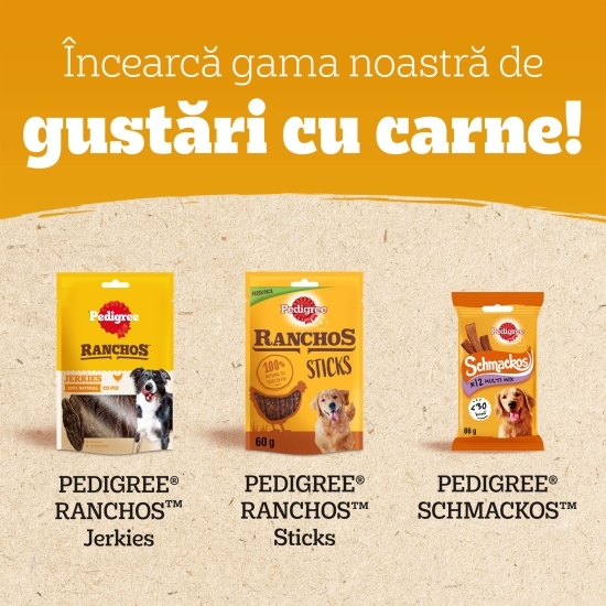 Recompense pentru câini, 70g, Ranchos cu vită