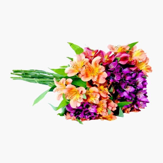 Buchet Alstroemeria mixt 11 fire