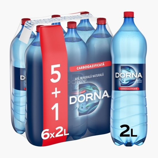 Apă minerală naturală carbogazificată (5+1)x2l