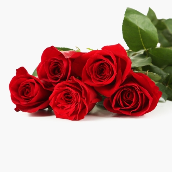 Buchet trandafiri, 5 fire, diverse culori