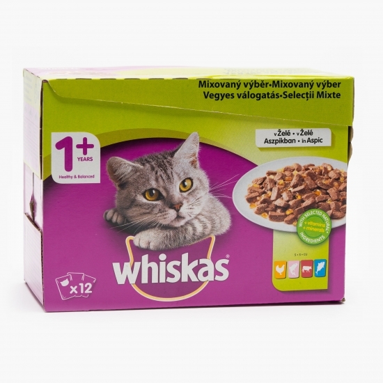 Hrană umedă pentru pisici, 12x100g, selecții de carne în aspic