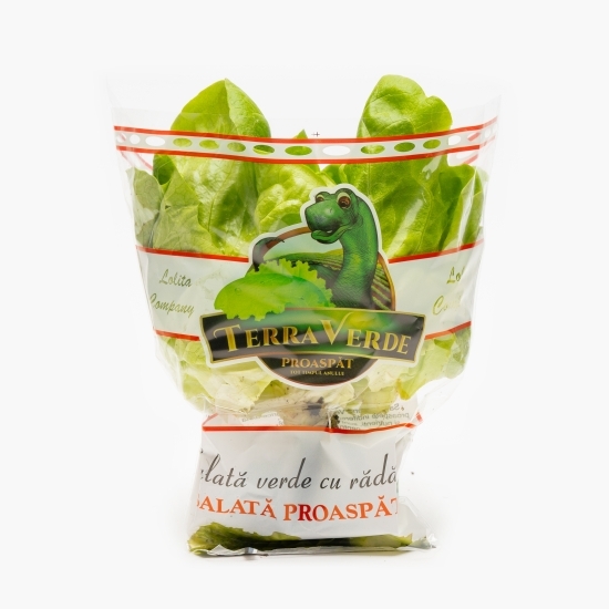 Salată verde cu rădăcină 1 buc