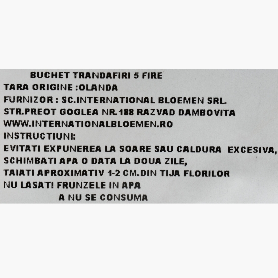 Buchet trandafiri, 5 fire, diverse culori