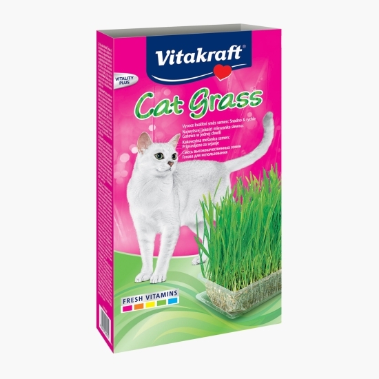 Iarbă pentru pisici Cat Grass semințe 50g