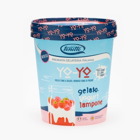 Înghețată din iaurt cu zmeură  293g