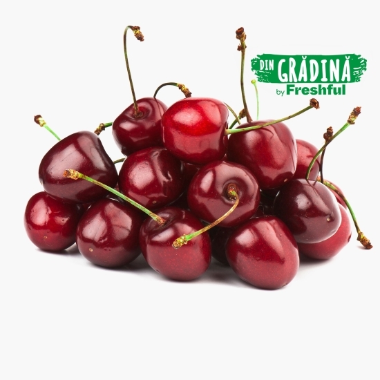 Cireșe eco România 500g