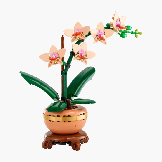 Mini orhidee, 10343 Botanicals, 274 piese, +18 ani