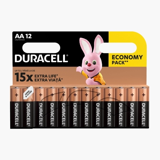 Batterii alcaline Basic AA, 12 buc