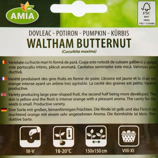 Semințe dovleac plăcintar Walham Butternut 1g
