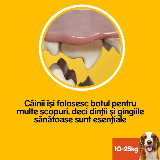 Batoane dentare pentru câini de talie medie, 7 buc, 180g, DentaStix 