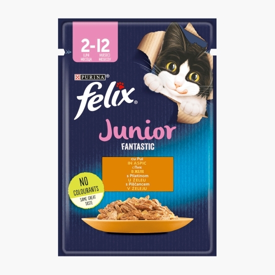 Hrană umedă pentru pisici Junior, 85g, Fantastic cu pui în aspic 