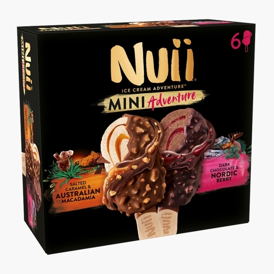 Înghețată vanilie cu caramel sărat, nuci Macadamia și ciocolată cu afine nordice Mini Adventure 330ml (6x55ml)