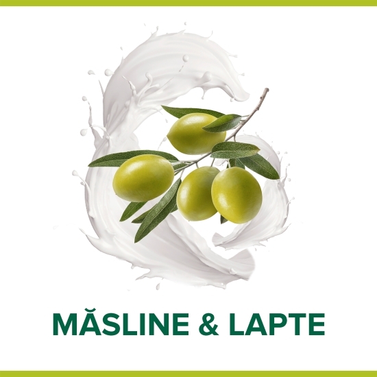 Săpun solid Naturals Moisture Care Olive & Milk 90g