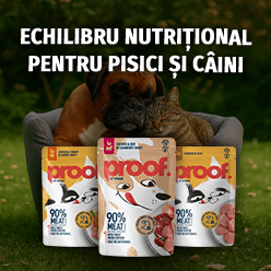 Ofertă specială: Proof