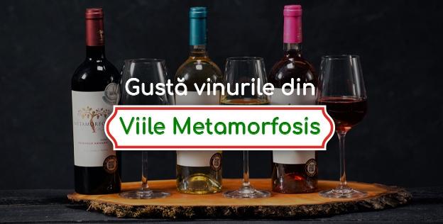 Gustă vinurile din Viile Metamorfosis