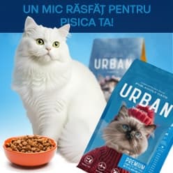 Ofertă specială: Urban