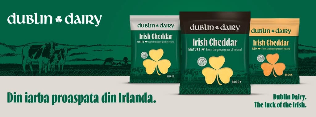 Bannere Mici Dublin Diary paid - cw50
